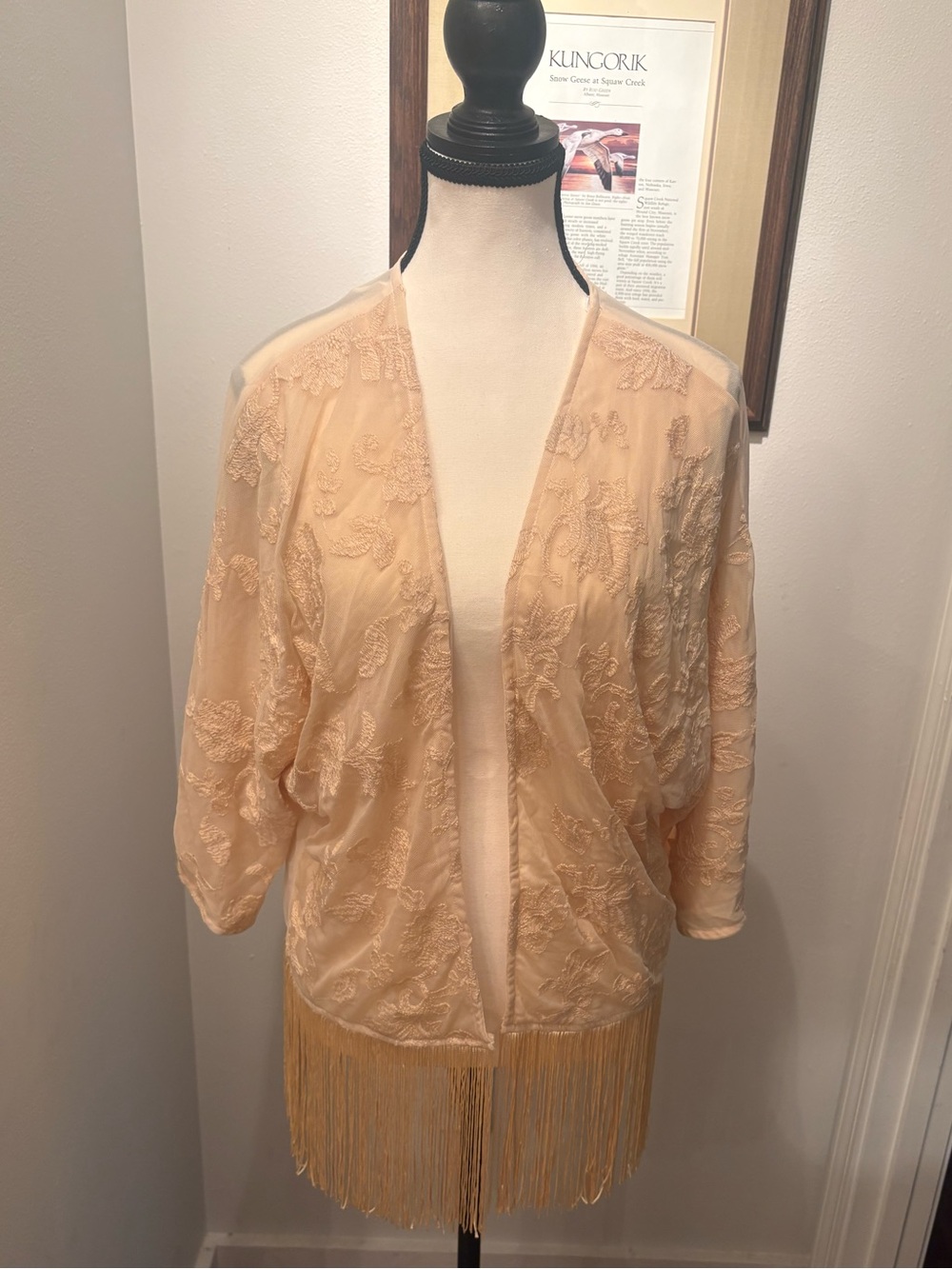 Iris Los Angeles Sheer Floral Embroidered Fringe Jacket | Boho Western Festival